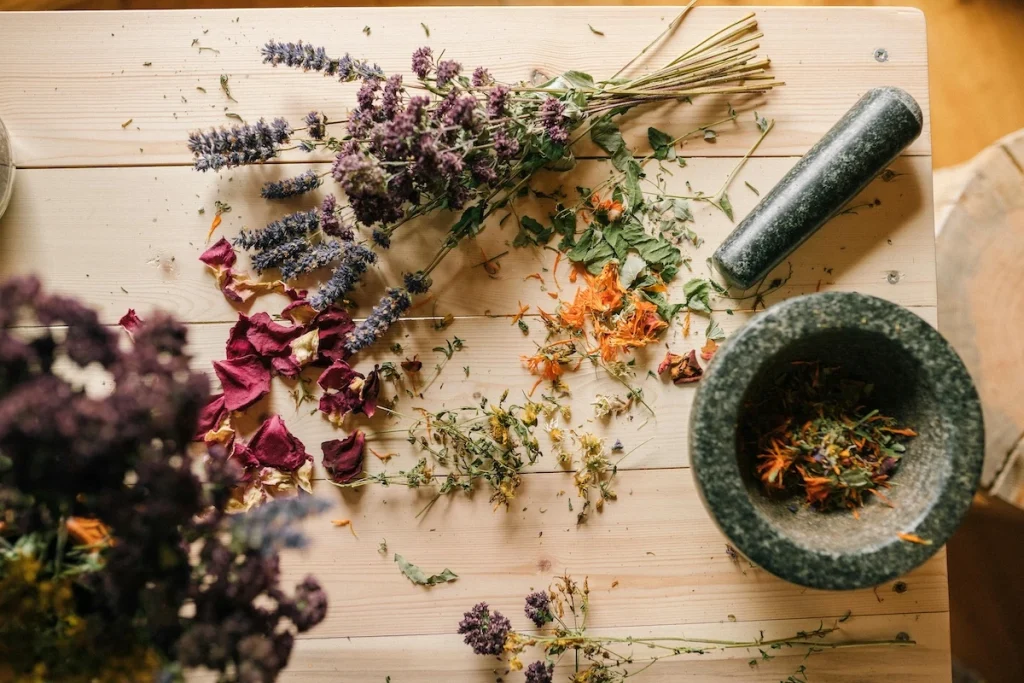 Utiliser les plantes contre les jambes lourdes